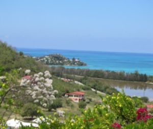 Antigua in the West Indies*